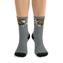 Load image into Gallery viewer, The Tony Socks