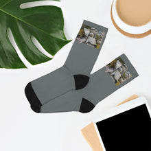 Load image into Gallery viewer, The Tony Socks