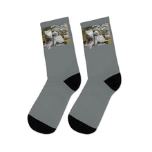 Load image into Gallery viewer, The Tony Socks