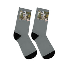 Load image into Gallery viewer, The Tony Socks