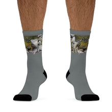 Load image into Gallery viewer, The Tony Socks